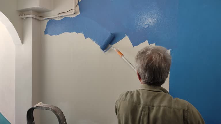 Best Fire-Damaged Drywall Repair  in Ladue, MO